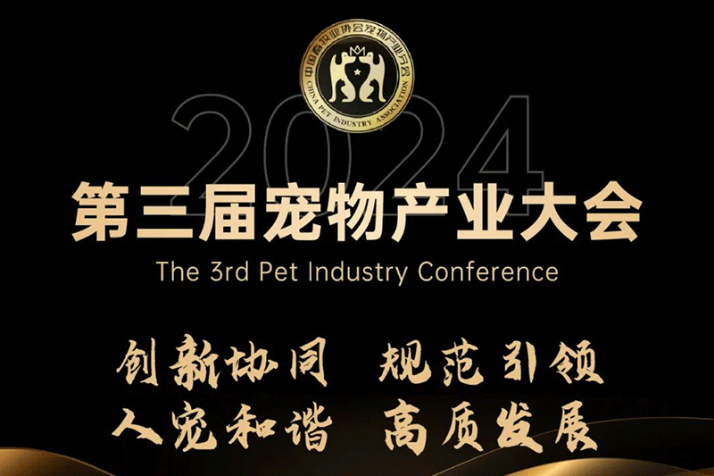 福貝寵食黃莉：時代變軌，用創(chuàng)新贏得市場，用洞察找到增長路徑